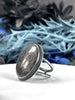 Midnight Quartzite Orbit Ring- Size 9